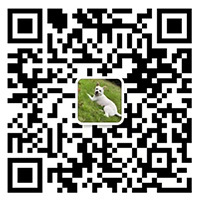 WeChat consultation